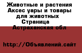 Животные и растения Аксесcуары и товары для животных - Страница 2 . Астраханская обл.